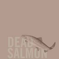 Farrow & Ball – Farbe Dead Salmon