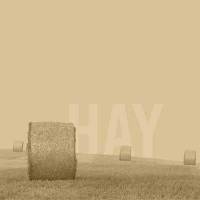 Farrow & Ball – Farbe Hay