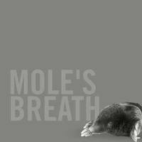 Farrow & Ball – Farbe Mole's Breath