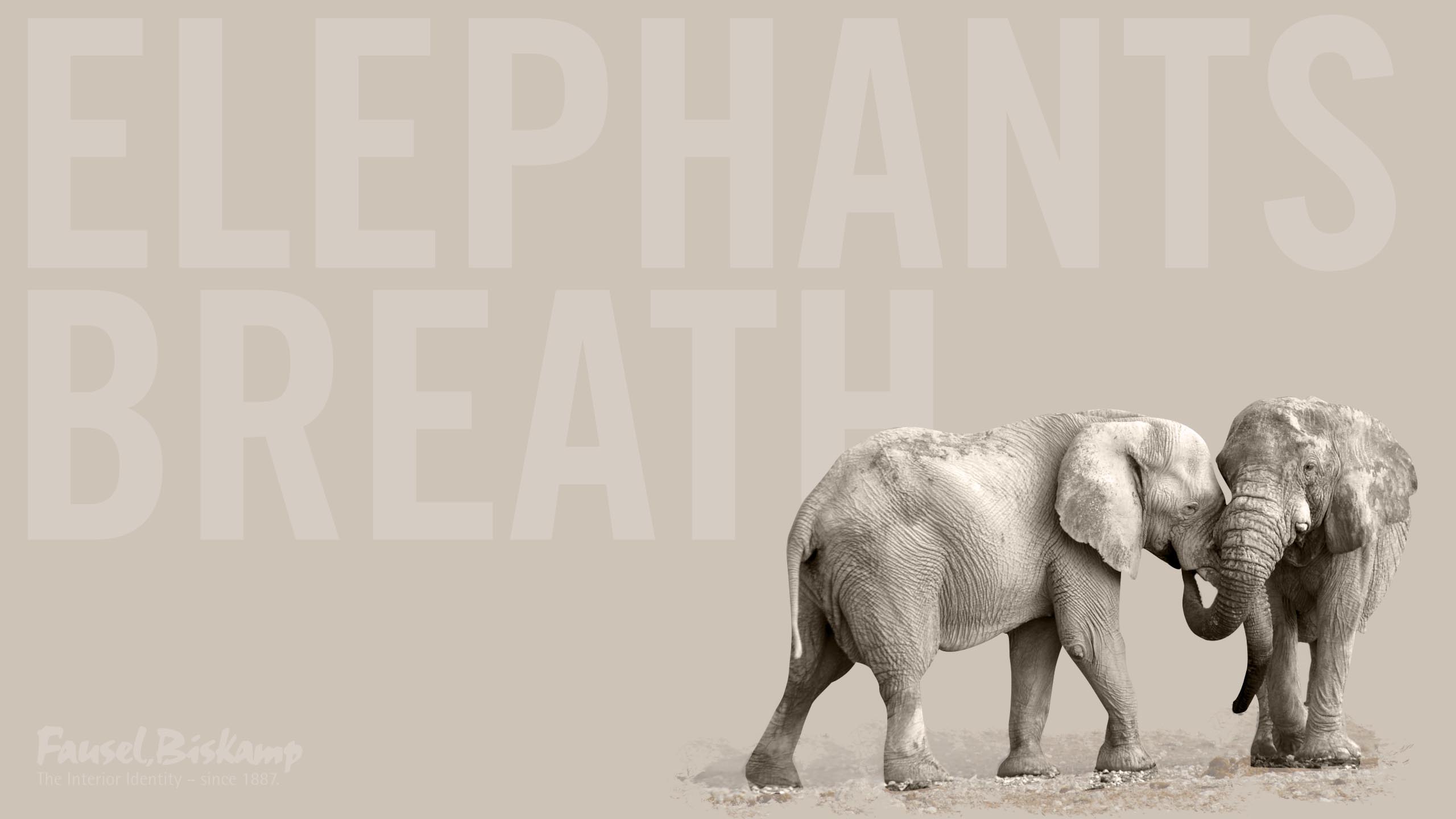 Elephant's Breath – Wallpaper von Fausel,Biskamp