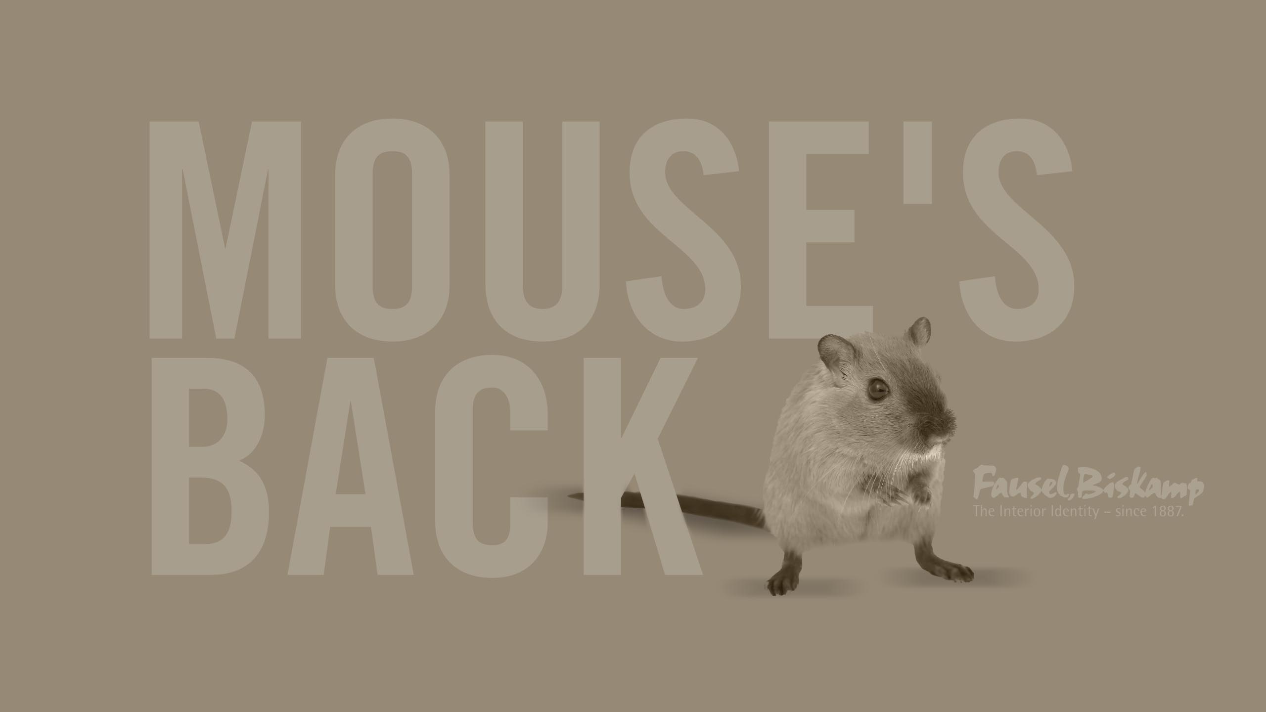 Mouse's Back (No. 40)