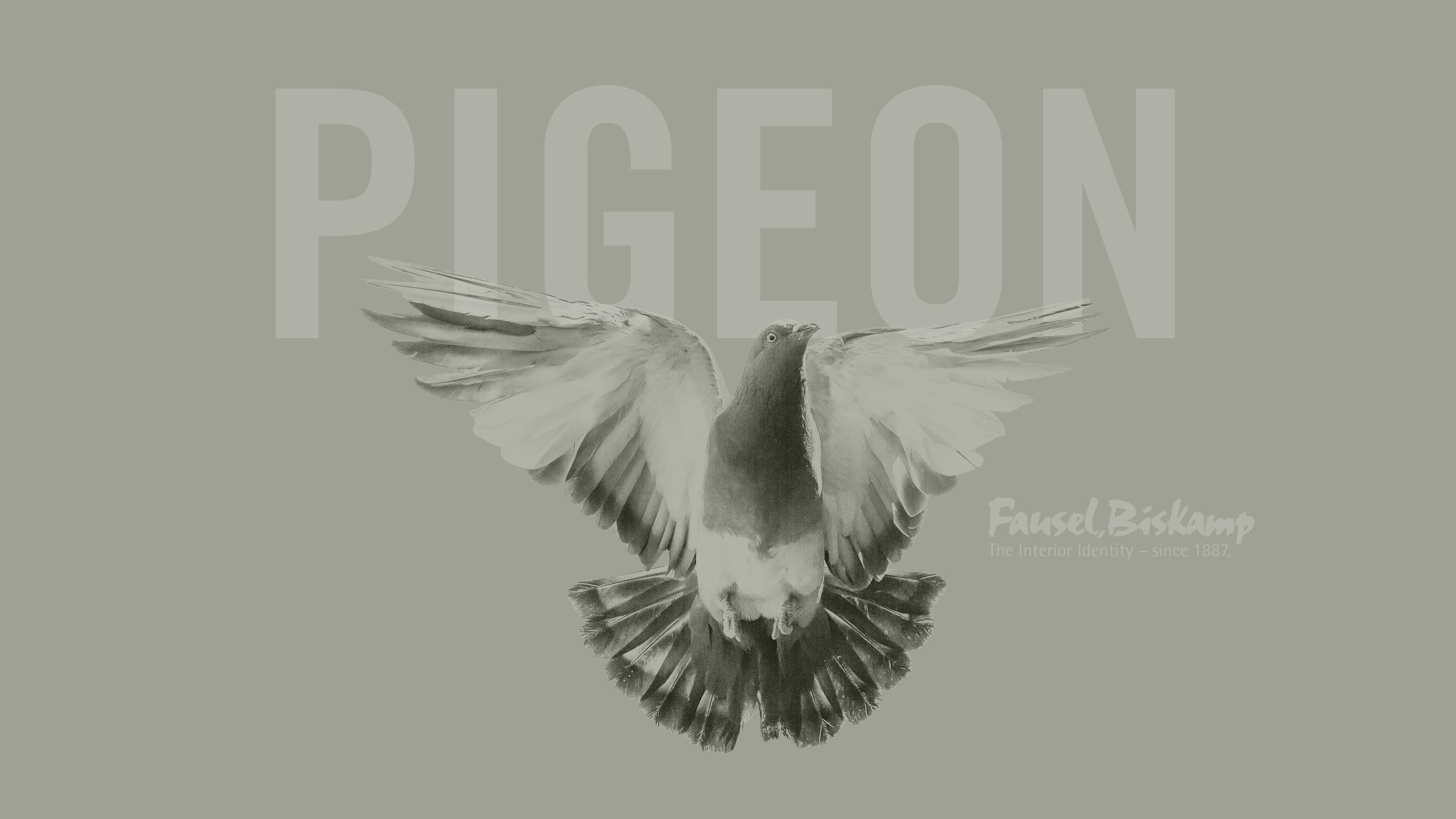 Pigeon (No. 25)